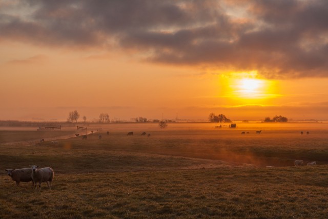 Winnende foto van Nico Lute